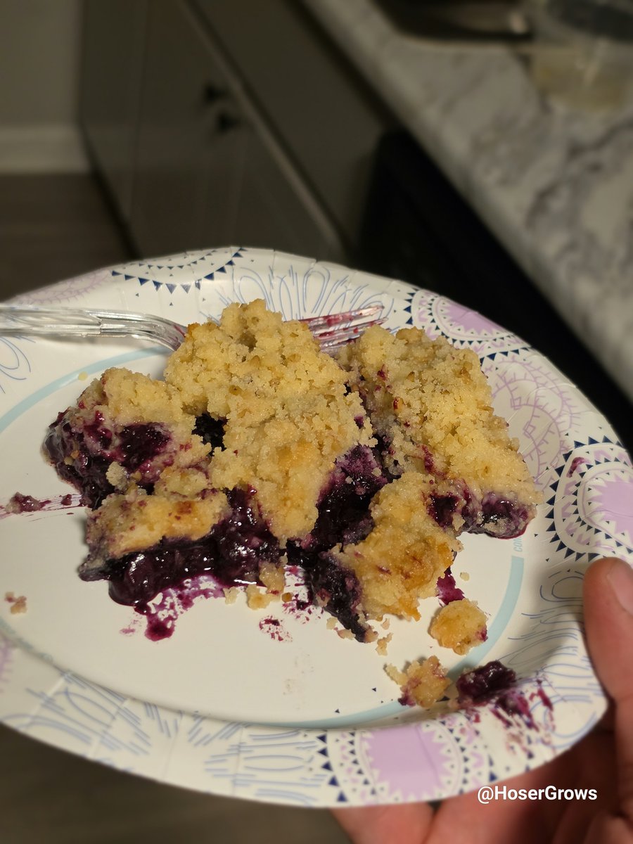 hosergrows's tweet photo. Homemade blueberry crisp...

Come get a plate..  

It's just too good not to share 

#HoserGrows #HoserCooks https://t.co/sN9VR71Vho
