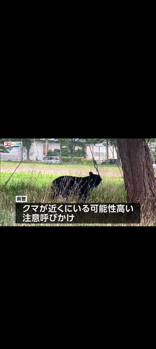 meg_720's tweet photo. ねぇー、これ前に誤報あったデカめの黒猫🐈‍⬛じゃなくガチじゃん

ここまでどこ通ってきたのぉ💦
被害者出てないけど怖過ぎるって😰 https://t.co/HfkHFv5o7K