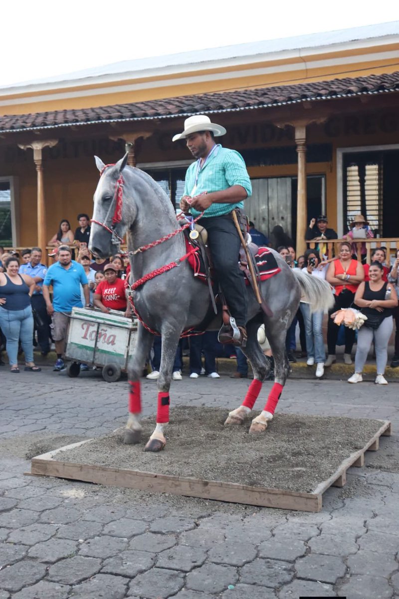AdelanteSiempr_'s tweet photo. 🐎🇳🇮 ¡Juigalpa vivió la gran Cabalgata Patria y Libertad! Tradición, orgullo chontaleño y pasión por el hipismo se unieron en el Concurso de Caballos Trotadores, con participación de ganaderos y jinetes. ¡Juigalpa, Capital del Hipismo Nicaragüense, cabalga siempre más allá! https://t.co/xgZzJrywt8