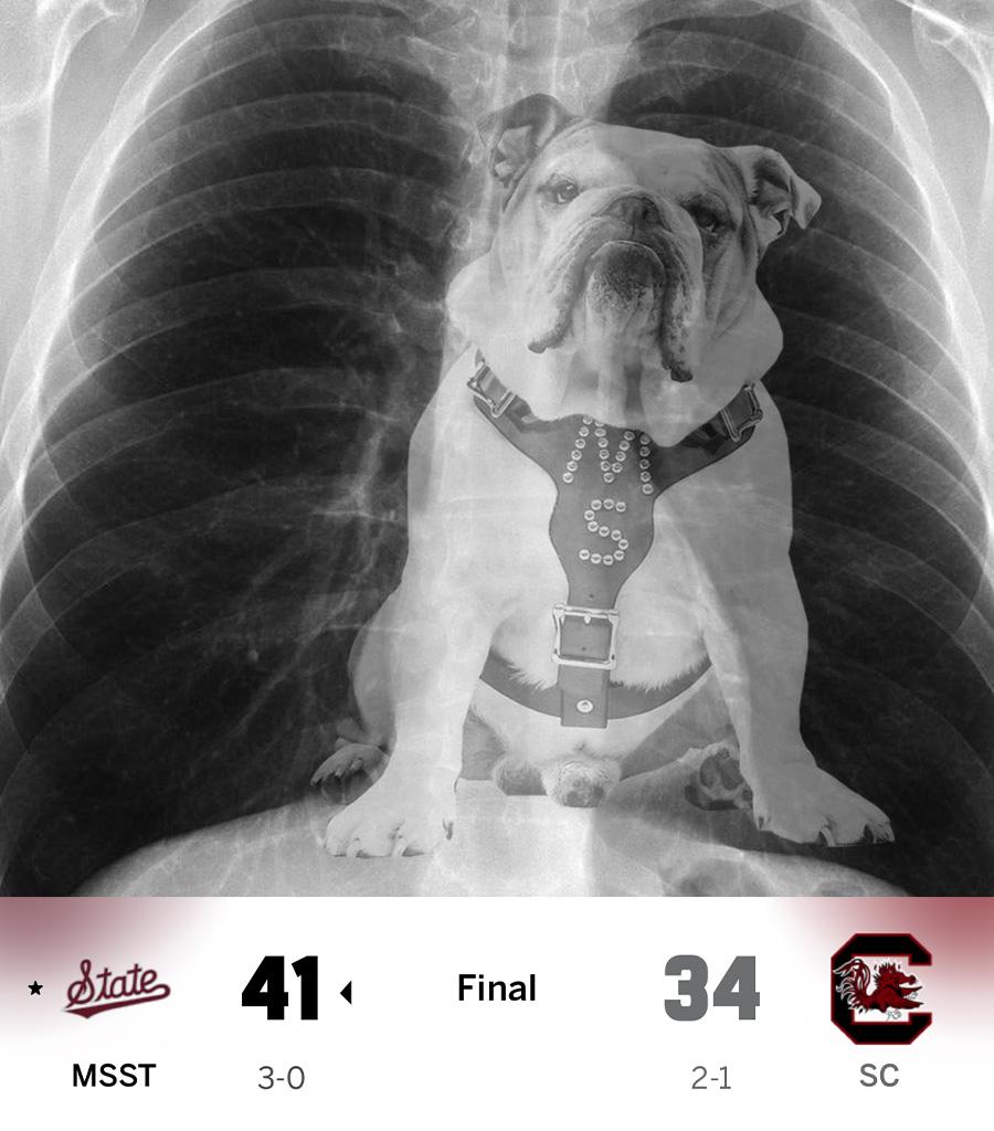 MSStateAlumni's tweet photo. These Bulldogs are 3-0 and they're coming home! 🏈 https://t.co/5q6F0h1bRl