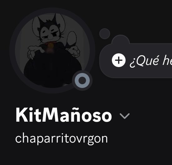 GatoDelBrowl's tweet photo. Bleeeeeehhh, listo mi discord para los que gusten agregarme https://t.co/hQoUP9vQ9b