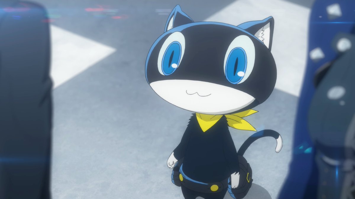 sadgny's tweet photo. preciso de um gato pra chamar de morgana! trequinho lindo mds https://t.co/PZZZpaXgpm