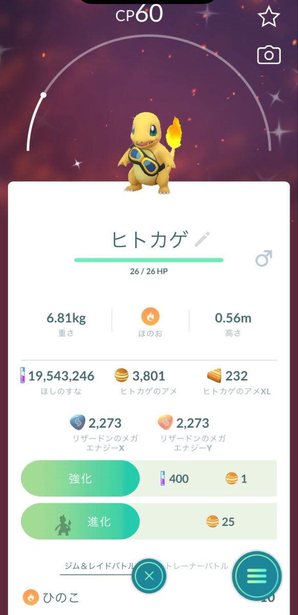 PObaoba's tweet photo. パピモッチ出てきてーーーー🥺 https://t.co/QxCqIMtATV