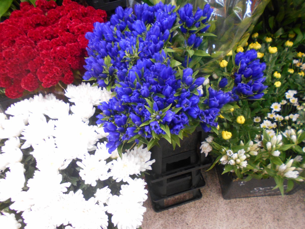 flowermarche01's tweet photo. 9/20彼岸入り営業中　赤字覚悟の100均ショップ　お好みの花束作ります　何でもお気軽に相談ください　kzy200160@yahoo.co.jp　Tel0443853736　#花束 #プレゼント #バースデー #お祝い #地方発送 https://t.co/mgD1dGlk00