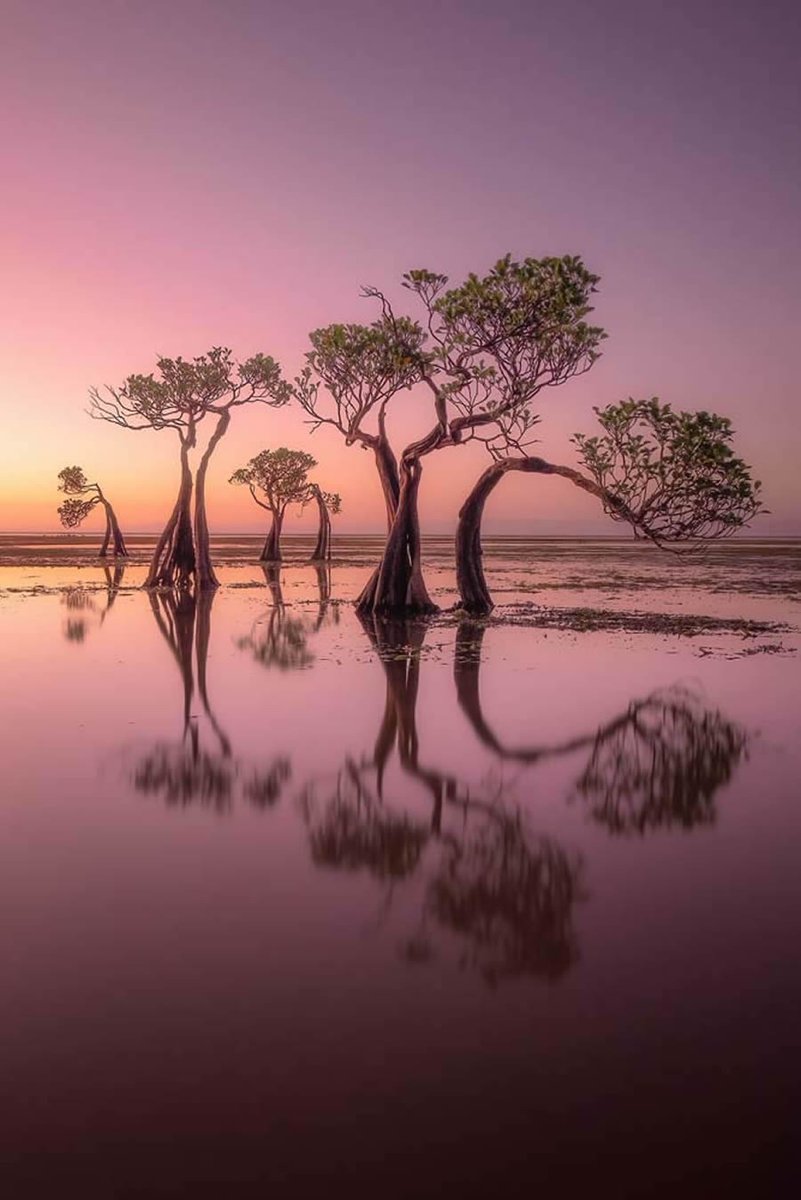 INGhrea's tweet photo. The mottos of magazines like the Edinburgh Review—“Judex damnatur cum nocens absolvitur,” or “The judge is condemned when the guilty are acquitted”—suggested to Charles-Augustine Sainte-Beauve “the spectacle of the court.” “Reviewers we have but no critic; https://t.co/j8Fg2c4CYJ