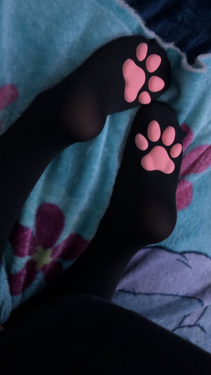 bunnienvyy's tweet photo. Paw socks🐾👀 #egirl #esex #discord #nsfwt #pawsocks #horny https://t.co/bvSwNtudxM