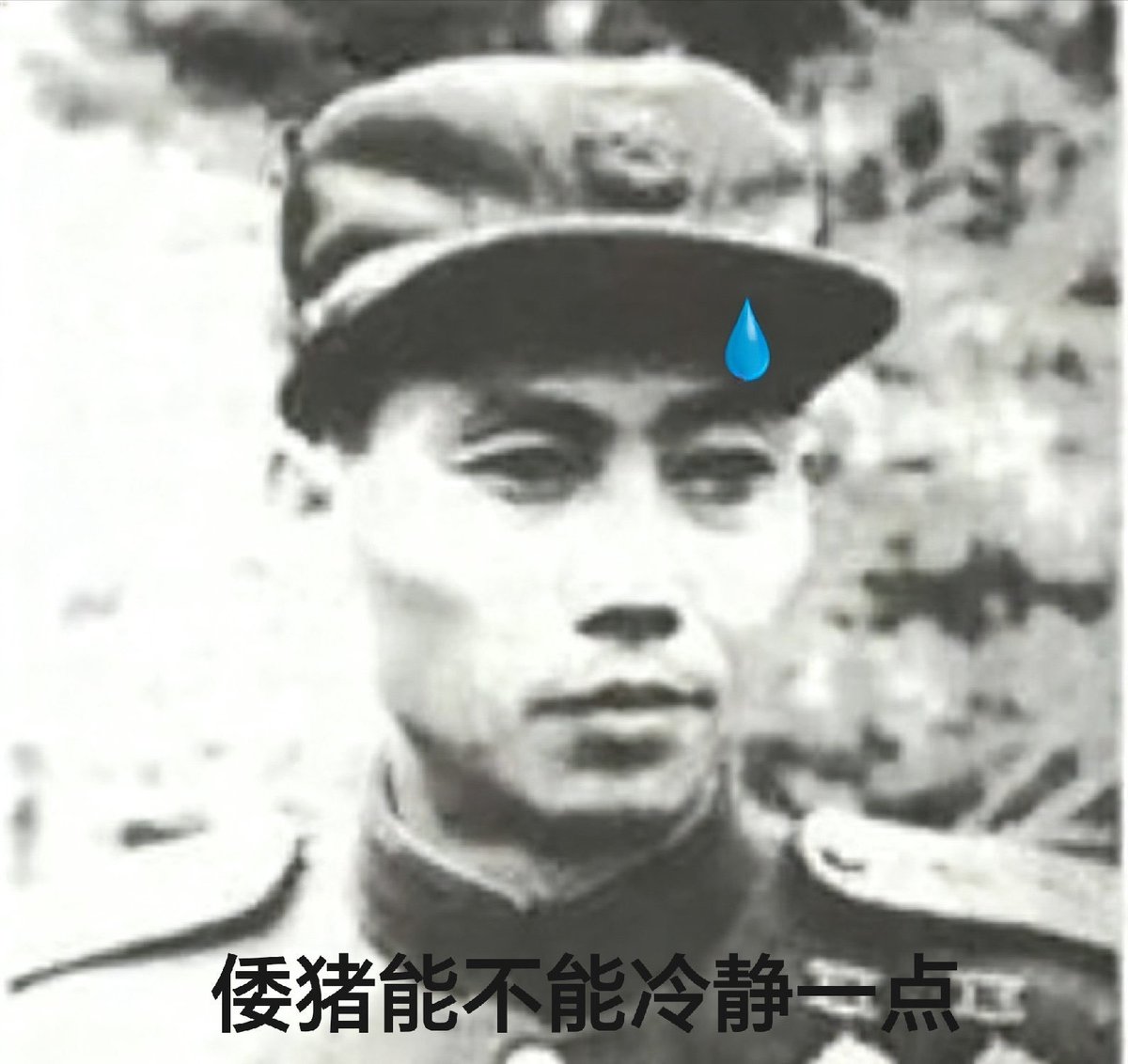 momalebl's tweet photo. @maojinping0722 @beiligarden https://t.co/D7upIV5nkN