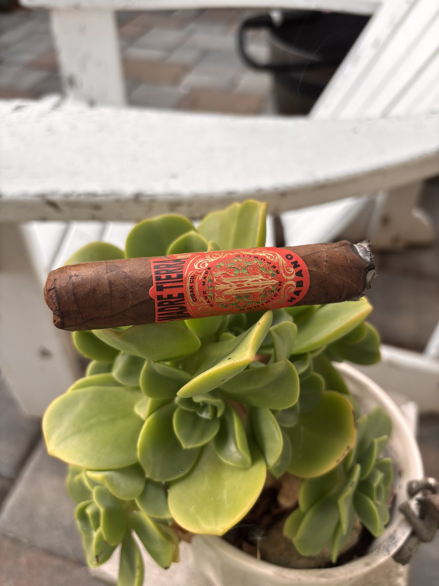 CigarTestRide's tweet photo. Madre Tierra Habano night! https://t.co/vXITbx5n0y