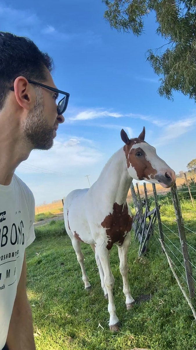 Ale_dG___'s tweet photo. Agradezco a la vida poder disfrutar siempre de estos días.
Silencio total. Pájaros y caballos 🙌🏻 https://t.co/GuCLxEDk7T