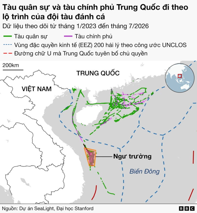 SeaLightFound's tweet photo. 📢 NEW REPORT: SeaLight teams up with @bbcvietnamese (Vietnamese) on illegal 🇨🇳#PRC fishing fleets off 🇻🇳#Vietnam's central coast.

Roughly 100 Chinese fishing vessels have operated inside Vietnam's exclusive economic zone off Quảng Ngãi since 2024, at times within 28 nautical miles (about 52 km) of Lý Sơn Island.

@BBC Tiếng Việt reports on SeaLight tracking data covering 2024 through 2026. The fleet, mostly out of Guangxi ports, masses from March, begins withdrawing in late April ahead of Beijing's unilateral May 1 fishing moratorium, and returns after the ban lifts on August 16. 

Activity ran dense from late 2025 into early 2026. On some days in 2026 the count in the area passed 40 vessels, and the level has climbed steadily over about four years, peaking in May 2026.

Most of the vessels log fishing activity, but a PRC government ship classified as military recorded none at all while tracking the fleet's seasonal calendar. SeaLight Director @GordianKnotRay said the presence of an identifiable state ship means the fishing is permitted, monitored and protected if Vietnam moves to stop it. 

Carlyle Thayer cautions that photographic evidence is lacking and that the wider fleet is likely a mix of commercial crews, subsidized militia and law enforcement.

Quảng Ngãi had close to 5,000 registered fishing boats as of May 2026, according to Vietnam News Agency. Squeezed out of traditional grounds, crews report working the Gulf of Tonkin instead, and Thayer says some now range as far as the waters around Indonesia's Natuna Islands. 

Fishers have told reporters that calls for help go unanswered and that patrols are thin to absent while they are at sea. On September 29, 2024, QNg 95739 TS was attacked off the Paracel Islands; nets, machinery and several tons of fish were taken and at least 10 fishers were injured.

Hanoi rarely releases imagery of these encounters, so the public record comes mostly from spokesperson statements or foreign reporting. BBC asked Vietnam's foreign ministry and the Vietnam Fisheries Society for comment and had no immediate response from either. 

In 2023 SeaLight tracked a Chinese survey ship off southern Vietnam sailing a track that drew the character 中, the "Trung" in "Trung Quốc" (China) repeating it for a month with coast guard and militia vessels in company. 

As Powell put it to the BBC, China never claims less, only more.

Link to full article in the comments 👇