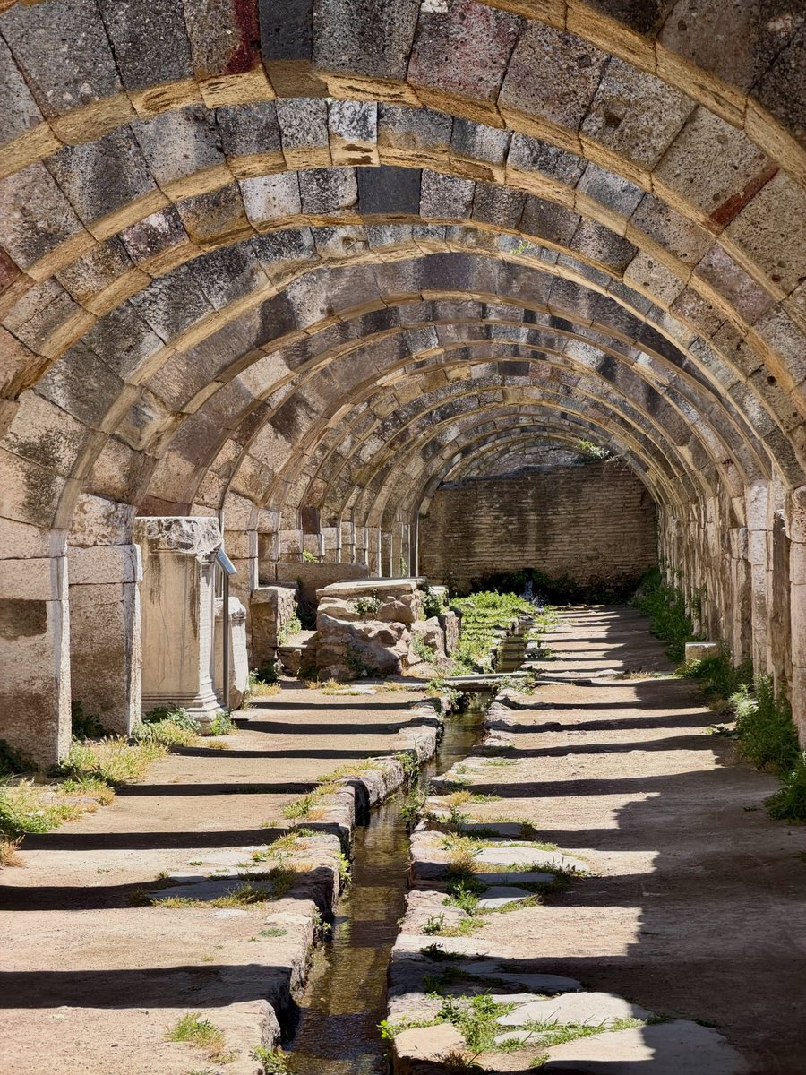 JuliettaEmley's tweet photo. Photo by Katerina on August 14, 2026. May be an image of hallway and text. https://t.co/ebHI0bRhvt