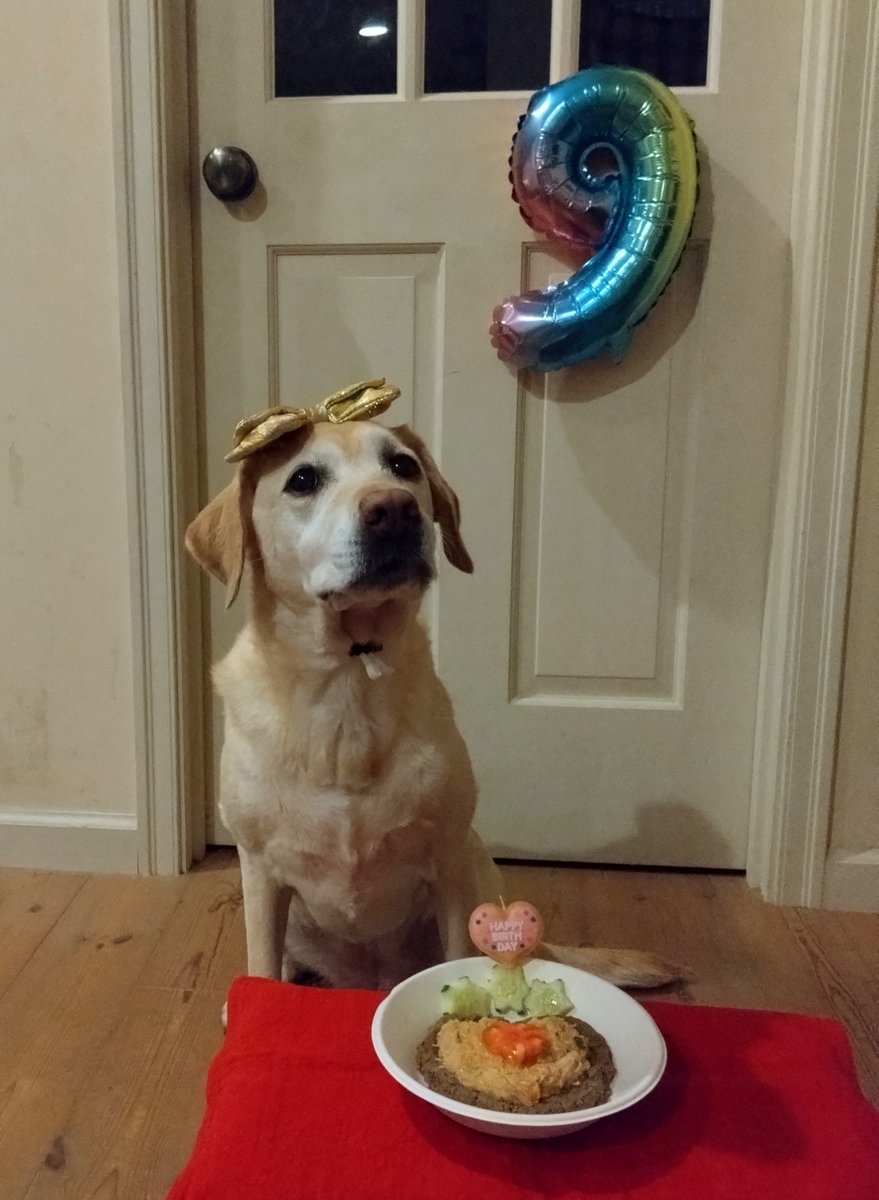 Tattsuun1's tweet photo. Birthday, 9years old https://t.co/01prjqXXsH