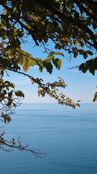 flor_tc's tweet photo. Beautiful wild view. منظر بري جميل https://t.co/dLIhcUJH7a
