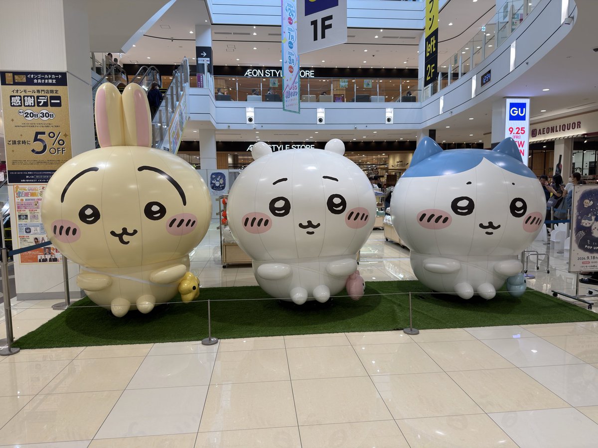kanteki66's tweet photo. ちいかわPOP STOREに

行ってきました😍😍😍

もう、たまんないですけど… https://t.co/keUzo46QfQ