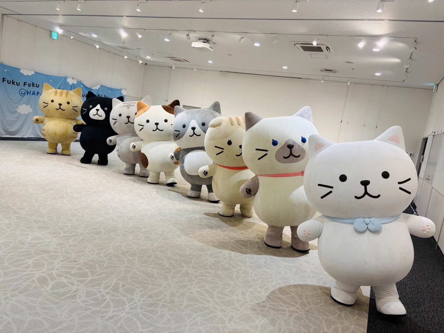 ぷくこさん専用ページ Fuku Fuku Nyanko(ふくふくにゃんこ) on X: 