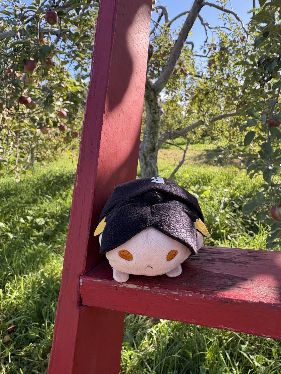 floetocopy's tweet photo. kenma went apple picking https://t.co/SSN0DYXXhO