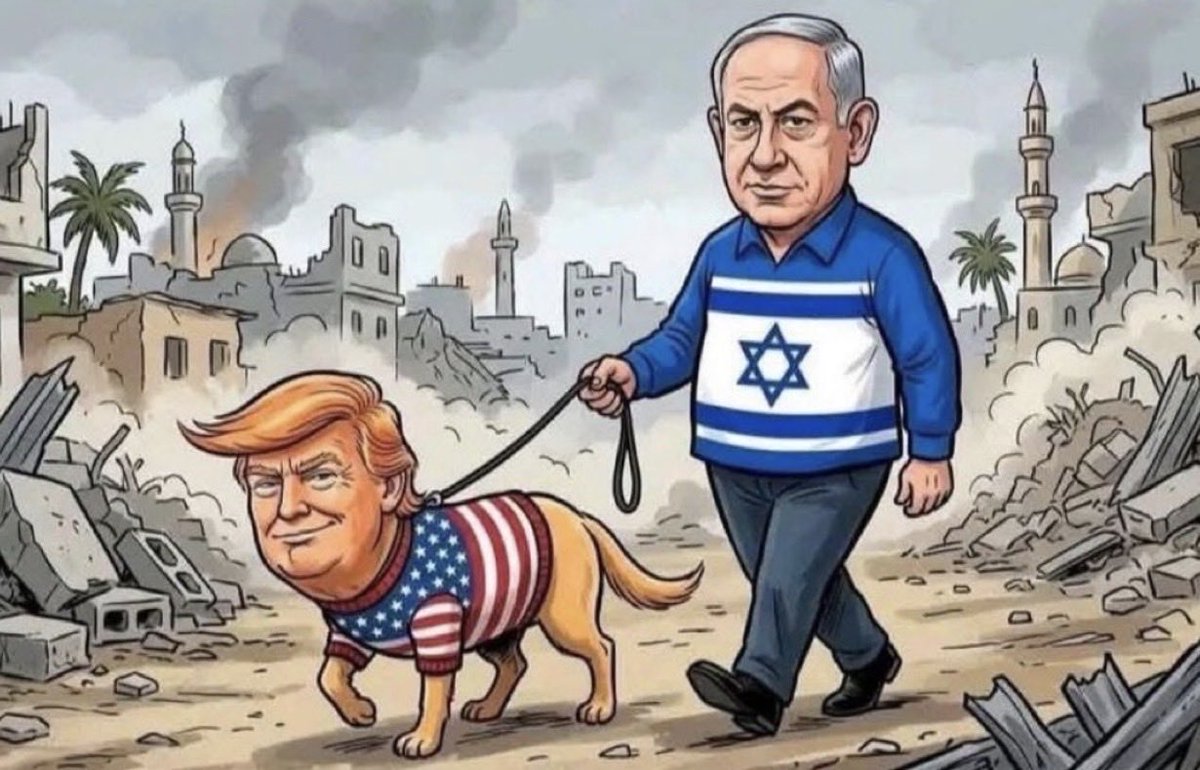 TheMullyJZ's tweet photo. @AFpost Yup, not voting for Netanyahu’s dog https://t.co/Wr90bK0wke