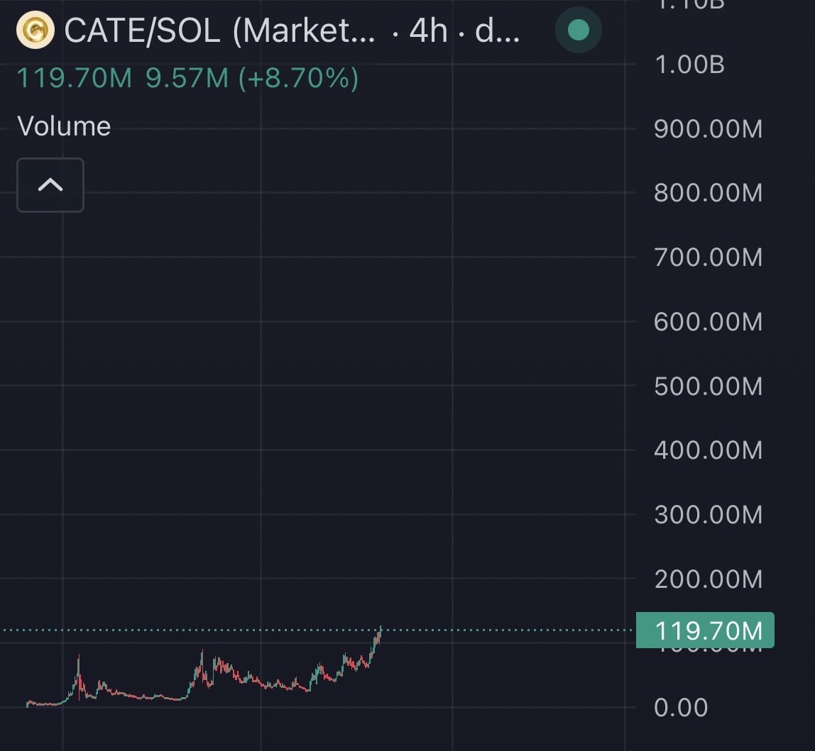 wulfcryptox's tweet photo. Picture this

It’s 2032

Your kid asks why you still go to work every day

Why his friends spend summers in Europe while he gets a 4 night Carnival cruise

Then one day he asks you to take his picture in front of a Bugatti with a solana:Ai66LHZG9MCzg1WKdawwqduVAXpNDUuV8M3uyq5ppump license plate

You stare at that plate and remember

You had the opportunity to buy the coins at $120M MC

But instead u chose to chase quick flips and ended up losing everything

Now billion dollar $CATE is staring you in the face and your bloodline is still employed

Do not become that person
