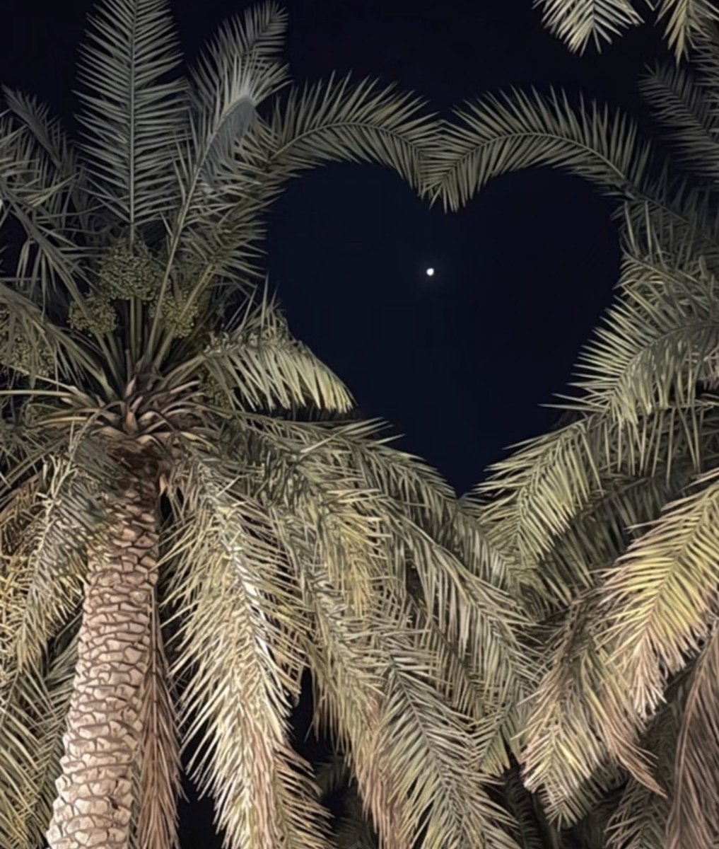 vllai6's tweet photo. "فداك البيد وعذوق النخل والنوق والاعراق 
وفداك اللي رحل واللي بقى والحزن وكروبه" https://t.co/kOZq7cVlIQ
