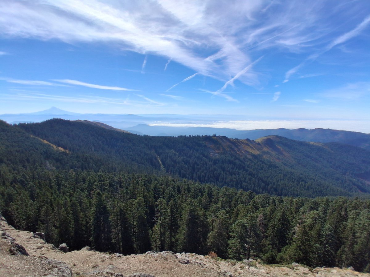 BiblesForFree's tweet photo. @11:10
Destination in sight!
Atop looking South
Fast way down
Faster way down
2.5 hours in
1.5 hours out
Now to find water
#HardCore
#NoFood
#NoWater
#GiffordPinchot
#WishYouWereHere https://t.co/uE3Pri8moV