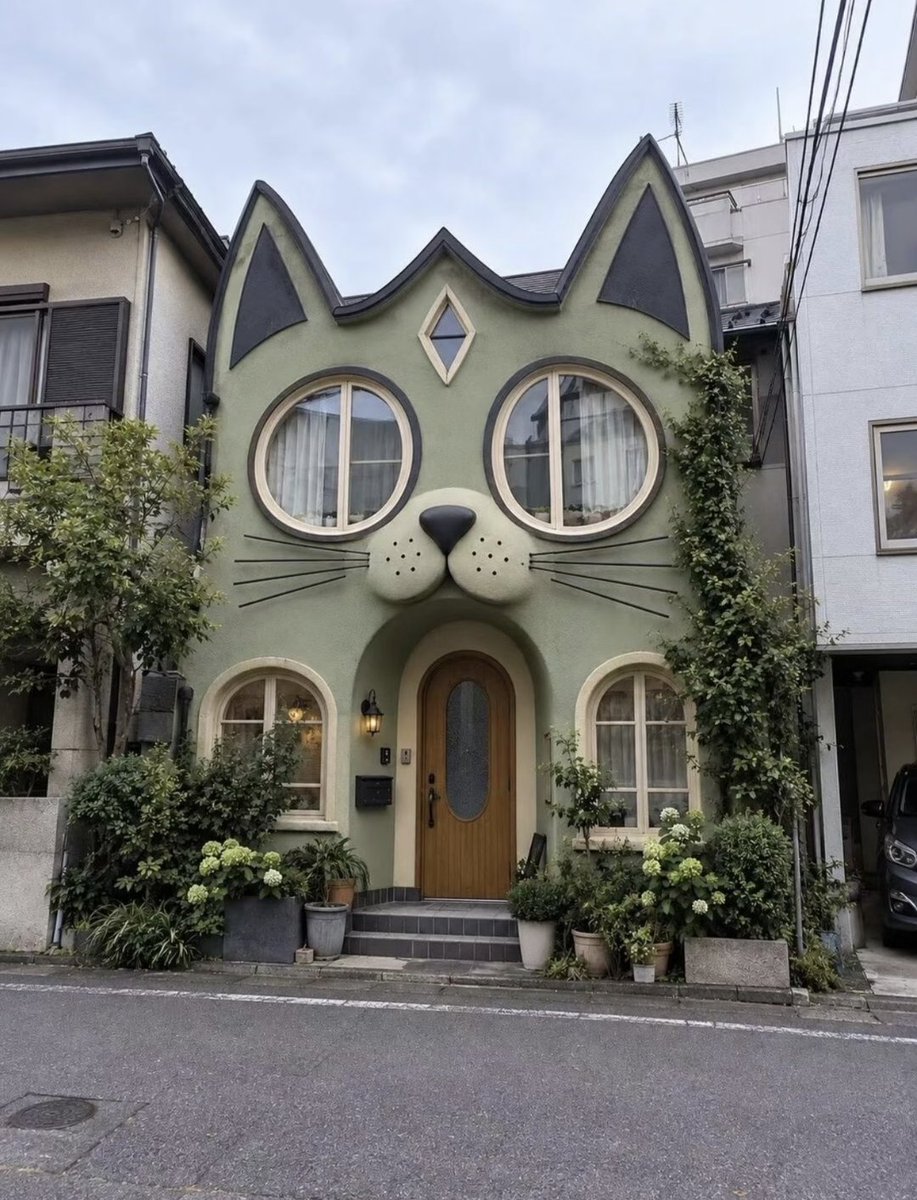tmszhjh88's tweet photo. Oh, whose house? https://t.co/CPCZ63R4vI