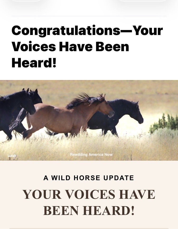 SigneSol0's tweet photo. I got this in a mail just now:
“Congresswoman Dina Titus (NV-01) and 17 of her colleagues today sent a bipartisan, bicameral letter to the Government Accountability Office (GAO) requesting a review of the Bureau of Land Management’s (BLM) Wild Horse and Burro Program following reports that wild horses have been slaughtered.”
Source: “Rep. Titus Calls for Wild Horse Slaughter Investigation,” Office of Congresswoman Dina Titus, September 17, 2026.
We are very grateful to Congresswoman Dina Titus for her leadership, the members of the Wild Horse Caucus, and their colleagues for requesting a GAO review of the BLM’s Wild Horse and Burro Program.
Rewilding America Now and its coalition partners will now continue to work as a resource for viable solutions that will help keep America’s wild horses wild and free.
Thank you to everyone who signed the petition, shared it, and stood up for America’s wild horses and burros. Your voices made all the difference.