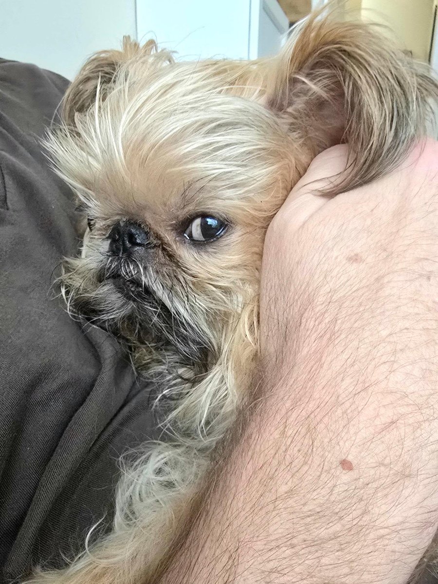 StephaniClkxp's tweet photo. Monday reminder: stay close to your support system, especially during retrograde. Take it one jaggy a day. https://t.co/7gE2TOckc4