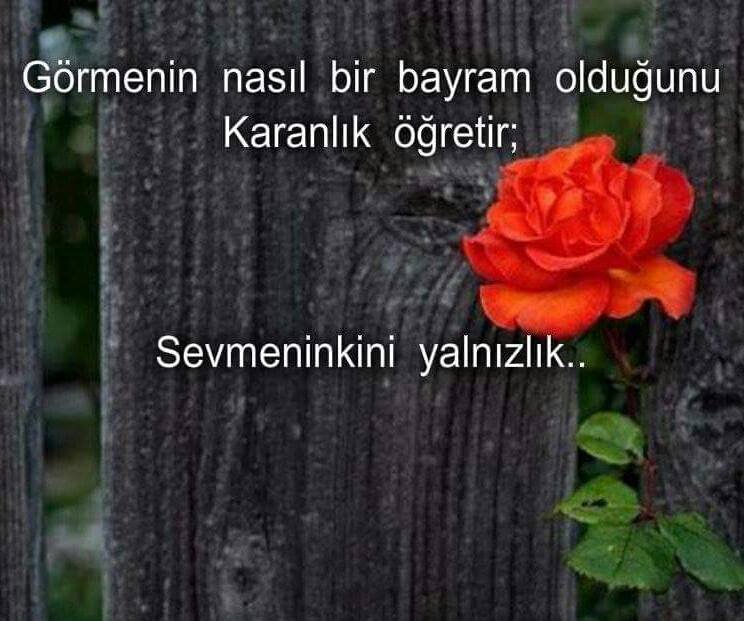 garip3_ak's tweet photo. İyi geceler https://t.co/AFp8qttrr2