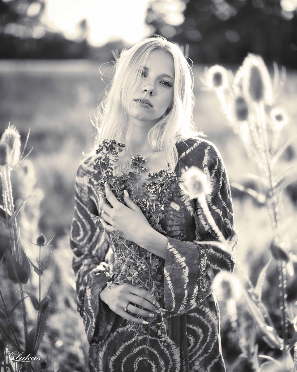 HaileyBenkitt's tweet photo. In the golden-hour glow, surrounded by summer grass, you radiate unique beauty and inner peace. atfotografie https://t.co/tFeK7Aei1k