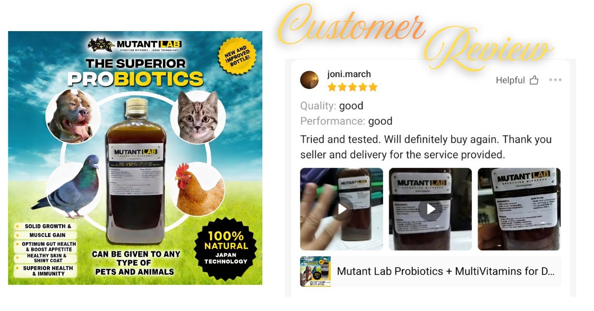 PatrickSouot0o's tweet photo. Another happy furparent review from Shopee and Lazada. Thank you so much for your support—we’re forever grateful. Get yours now on Shopee, Lazada, or TikTok. https://t.co/5e7AH3695d