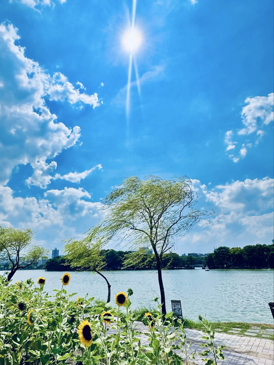 ebikaeru's tweet photo. リーガルビート終わってしまった
去年の夏は「ぼくほし」でノスタルジーとともに新鮮なアオハルを感じ
今年の夏は「リーガルビート」で深刻な社会問題をしなやかに真摯に感じられ
心地良い夏でした
ありがとう吾郎ちゃん

#私の_世界に一つだけの花
#SMAP https://t.co/87uGYnzMVG