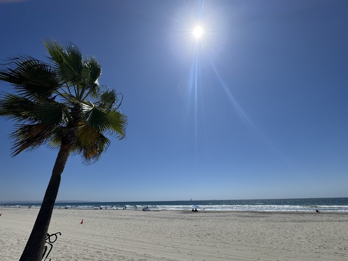 PacificMaiku's tweet photo. Enjoying a beach day https://t.co/ok7evONn4R
