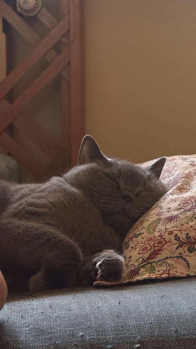 carlottasarli's tweet photo. scattate oggi pomeriggio….. lea sei il mio amore più grande per sempre il mondo non ti merita https://t.co/ccCIjNSL6W