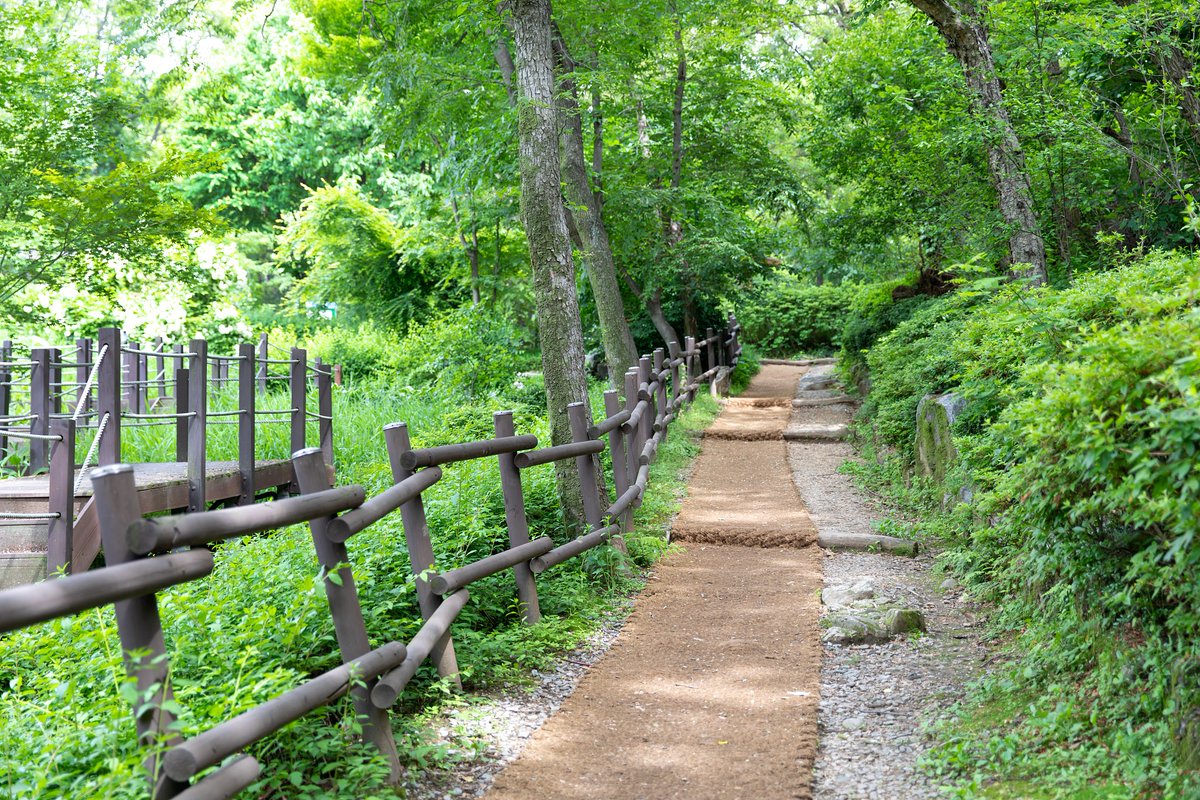 jkalth's tweet photo. Small daily habit, big health win: Swap 10 mins of phone scrolling for walking after meals. Try it today! https://t.co/hZWLOIEsKy