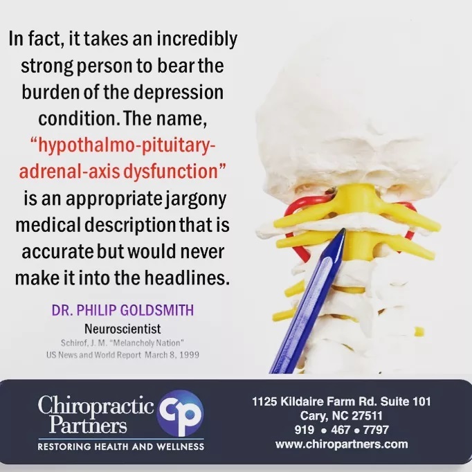 NeilStanfomx35's tweet photo. Proper spinal alignment and biomechanics are essential for optimal nervous system function. To stay healthy, ensure nothing interferes with your nervous system’s ability to communicate effectively with the rest of your body. https://t.co/7VPBeCU4T4