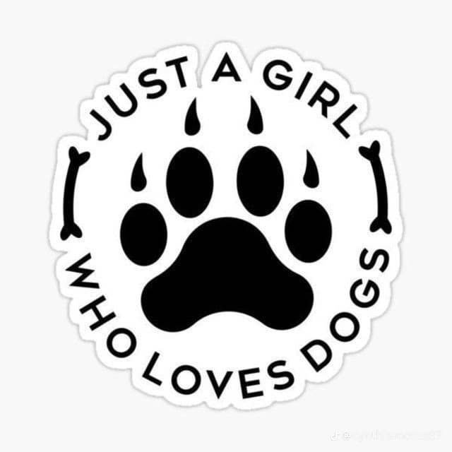KnottiAva's tweet photo. 🐶❣️ https://t.co/DWhz2FM7RT