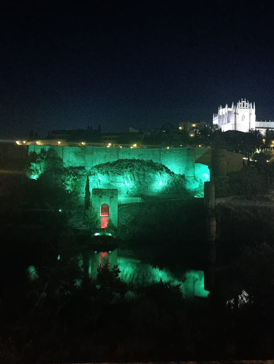 AEPMI's tweet photo. #Toledo apoyando la Semana Mundial de las Enfermedades Mitocondriales 💚🌐 #worldMitoWeek #lightupformito #Toledo #AEPMI https://t.co/KN63l47Ley