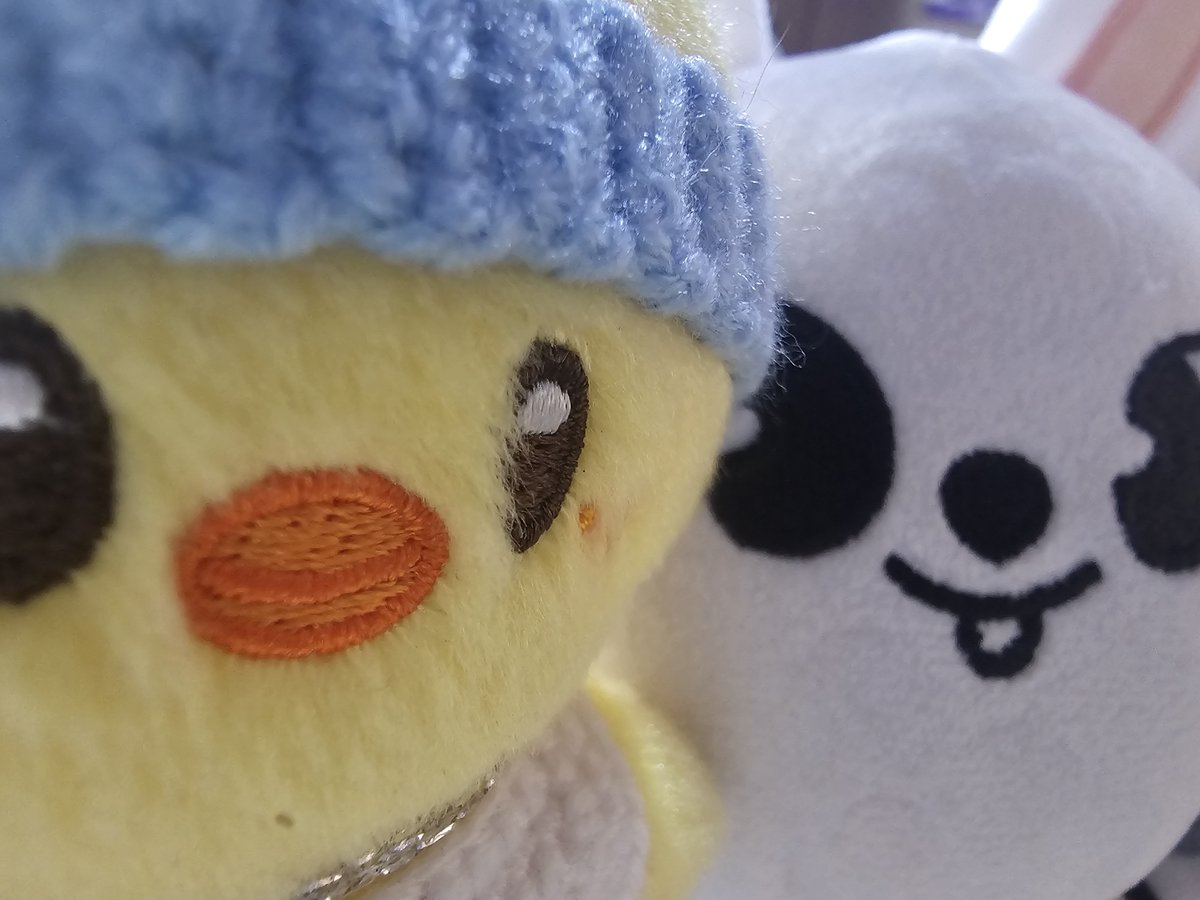 lblue_mc's tweet photo. 🐥: Selfie con mi compa el bigotes 🐰
jajaja

#RUN_IT_ECUADOR_2027 #BRING_RUN_IT_ECUADOR #RunitEcuador 
#SKZ_IN_ECUADOR
@jypnation @Stray_Kids https://t.co/QgU4cAlx6R