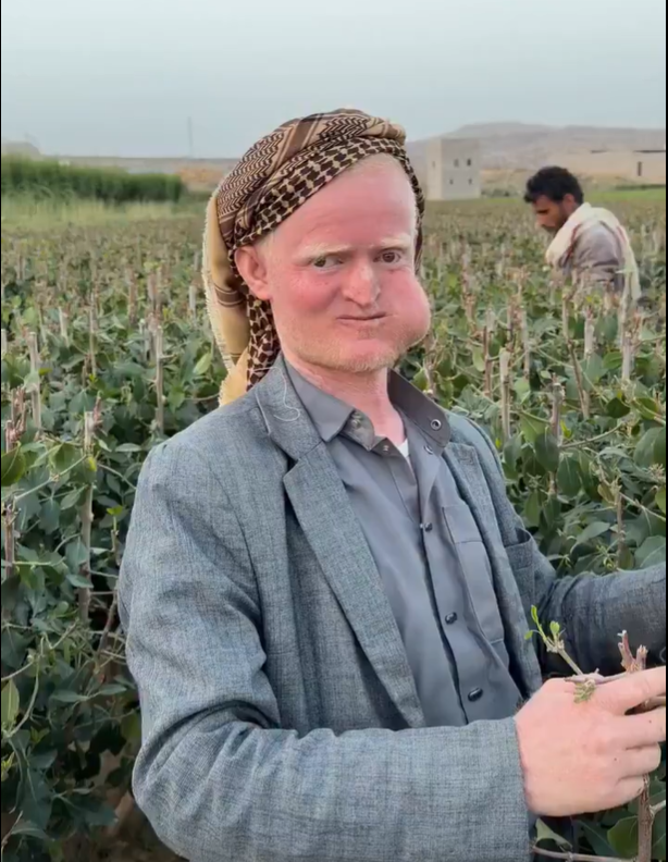 TheMossadIL's tweet photo. I biffs 'em and boffs 'em, and always out-ruffs 'em. https://t.co/y8snfRHIzK