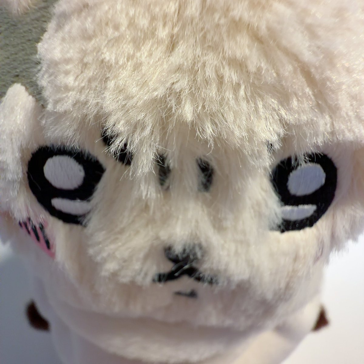 kur1_owo's tweet photo. ╭━━━━━━━━━━━━━━╮
 どうしたッ！話聞いてやるッ！
╰━━━━━━━━v━━━━━╯ https://t.co/6SxTGlJZMX