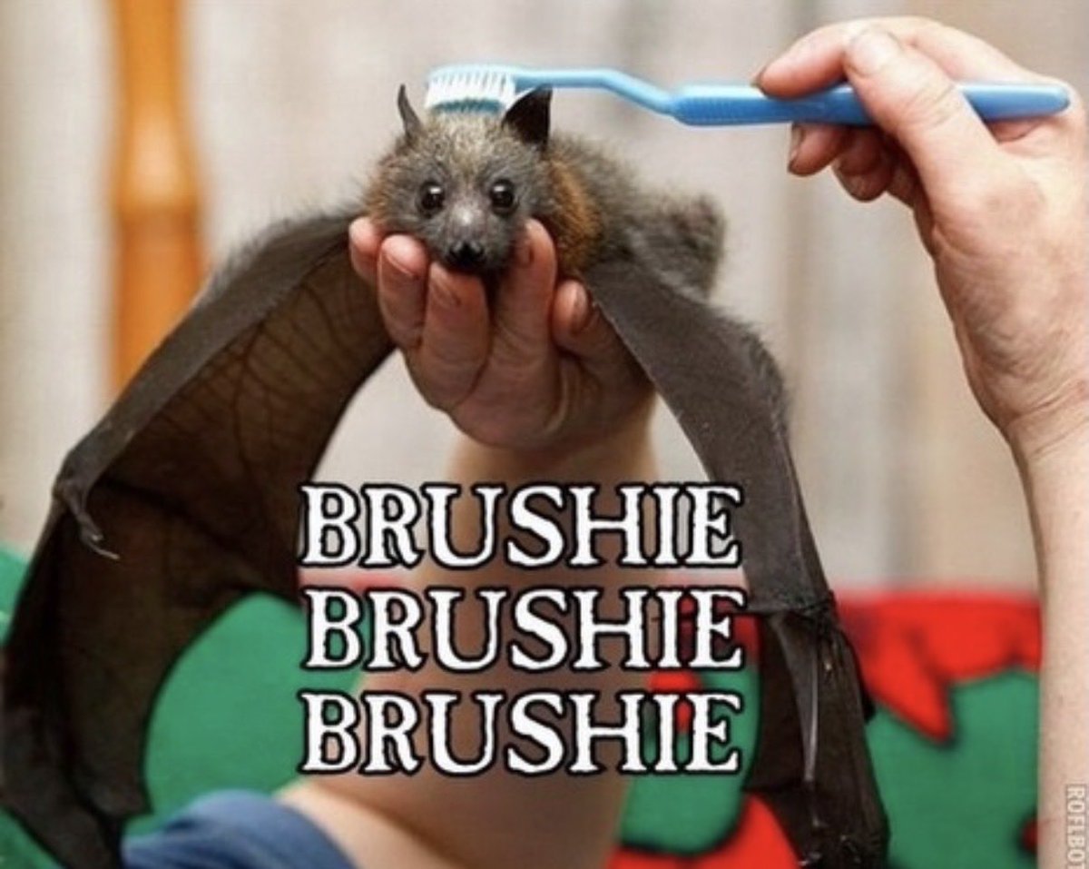 ivycomb's tweet photo. I’ve been seeing a lot of bat furries lately,,,

does this to all of them. Every single one https://t.co/GGaVsJFCRy