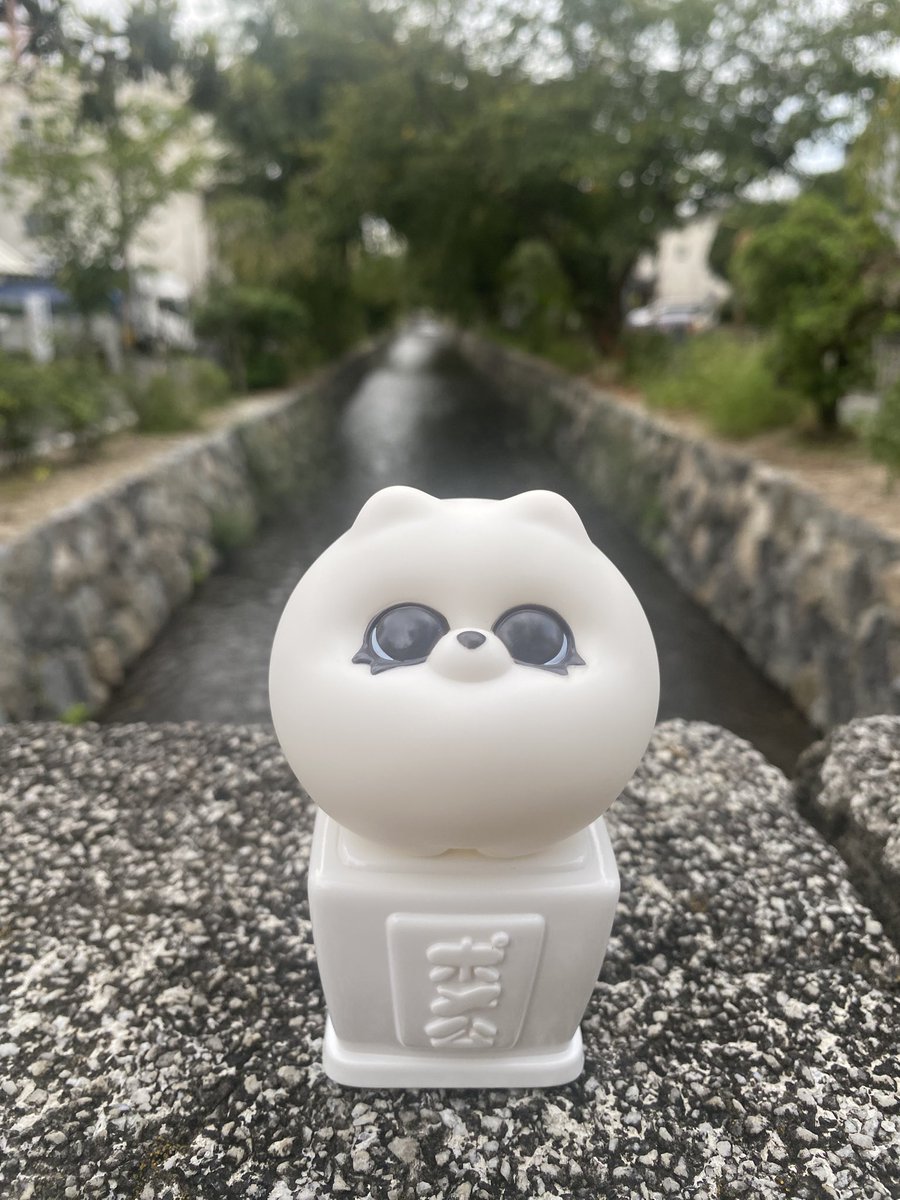 nozo8's tweet photo. #ポ散歩 in京都
ポッケに忍ばせてすぐ写真撮れるの良い
#POMEKO
#ポメ公
#POME活 https://t.co/jBpMYtdDEQ