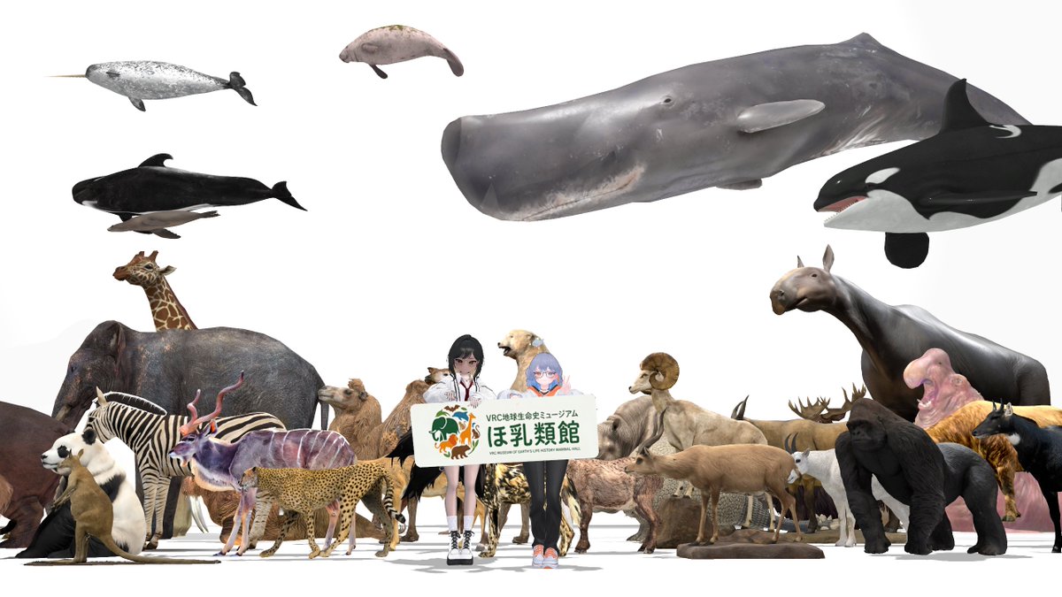 huuvrc's tweet photo. 昨日のぶいちゃはほ乳類館でいろんな動物見てまわったぜっ https://t.co/R0FJFgc3J8
