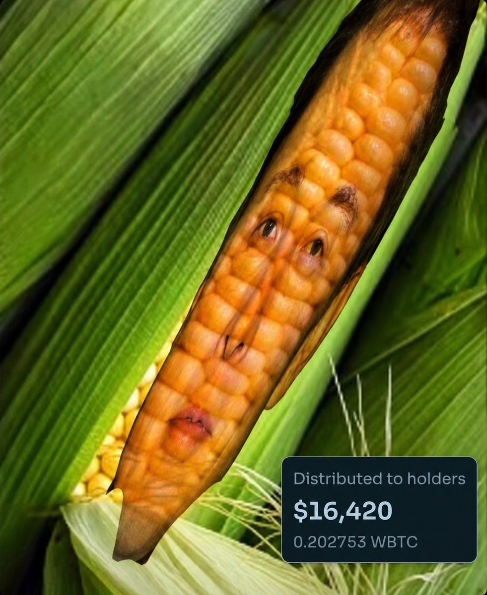 ObtainBitcorn's tweet photo. It’s a special type of corn

The type that pays you for growing it. https://t.co/4XasGTScrh