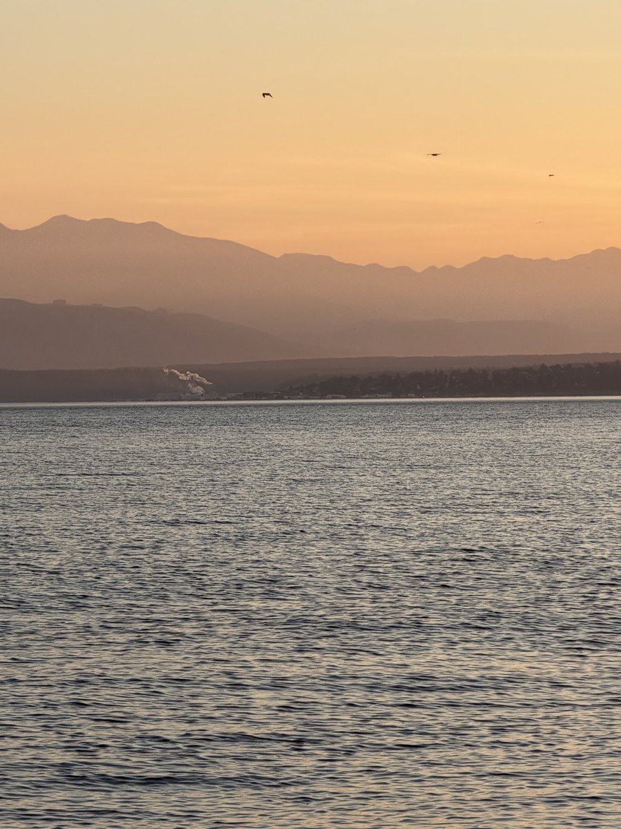 horizonchasing's tweet photo. Yesterday evening 5 min from my house. https://t.co/F04ImTtKaj
