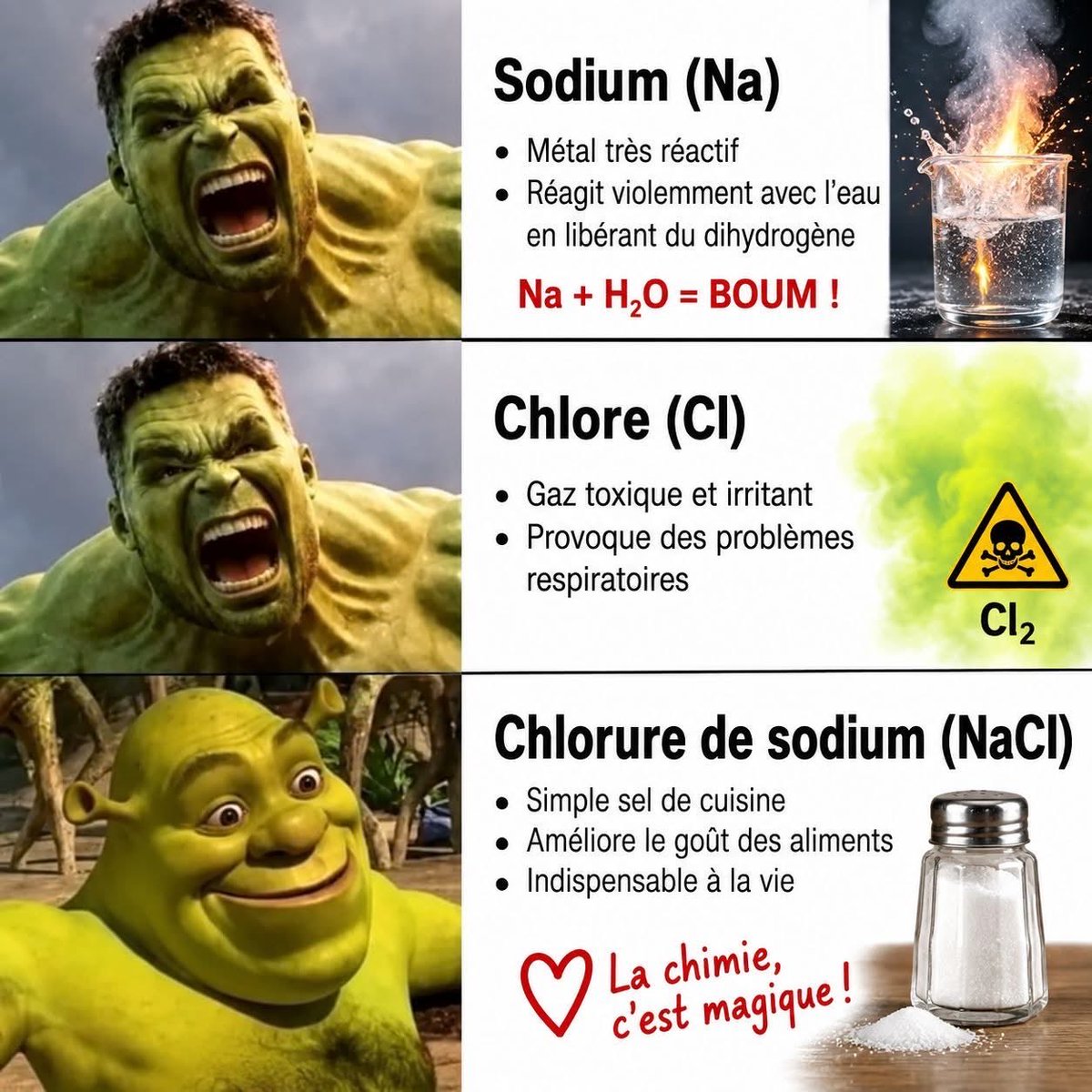 MaryMbois's tweet photo. Incroyable mais vrai… https://t.co/bLcCcCpShZ