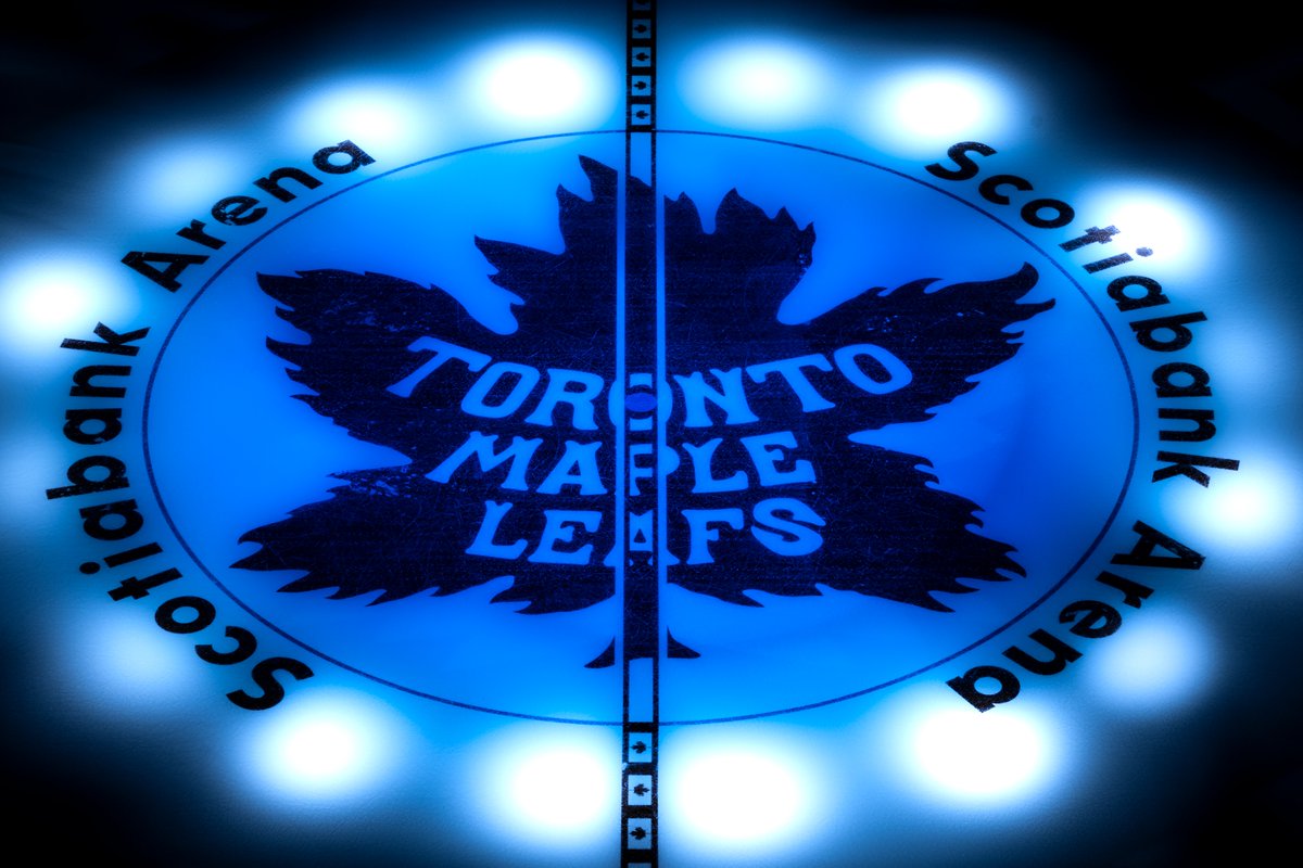 MapleLeafs's tweet photo. They just keep getting better https://t.co/2ur02NpXqz