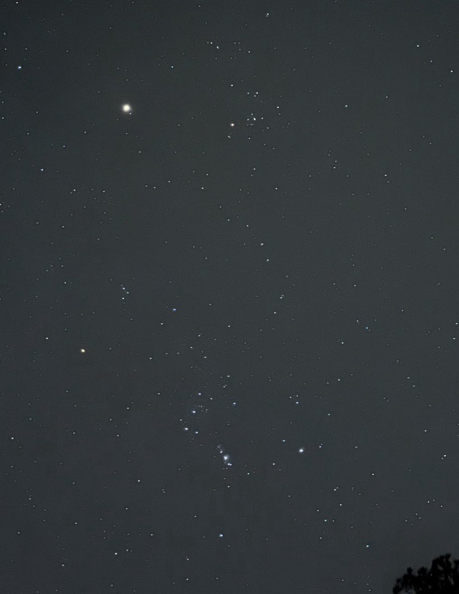 sage_astr's tweet photo. the amount of stars you see when you’re away from light pollution is insane https://t.co/t8xsqvaGsy