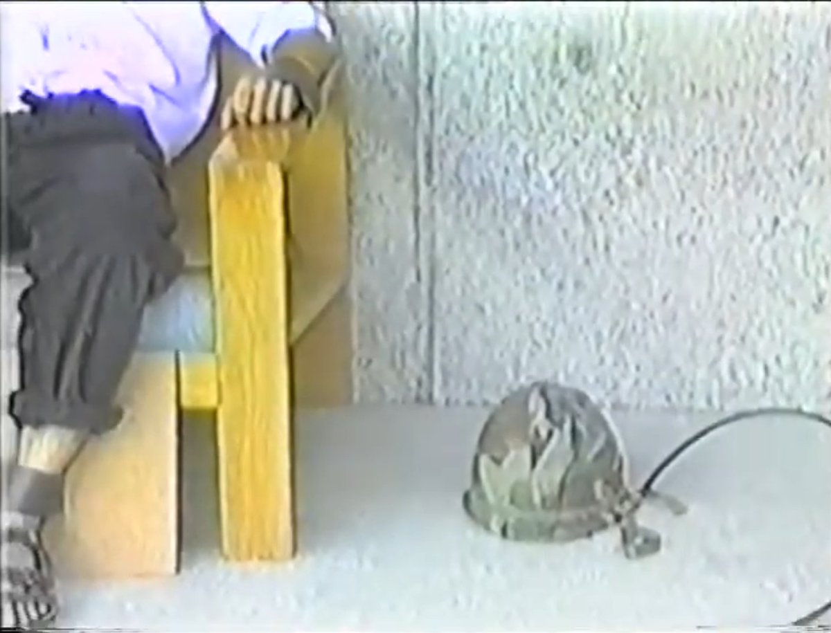bouticure's tweet photo. electronical politics (1988) directed by standish lawder. https://t.co/3bAoPKJs7b