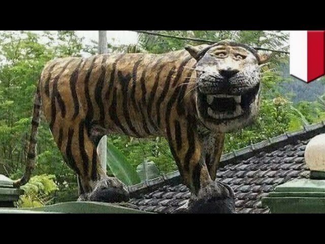 fadlyresya's tweet photo. @kingincrisis Nope, never https://t.co/t6z2e7BfwC